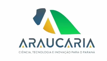 Araucaria
